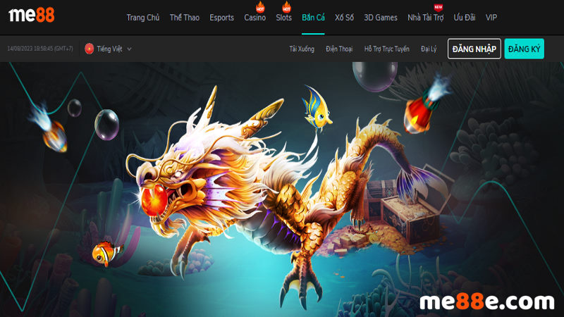 Lợi ích khi tham gia trang web tổng hợp các trận đấu gà 88Bet - 88Bet