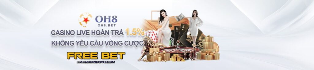 9Vnd là một công viên giải trí với nhiều loại hình trò chơi khác nhau - 9Vnd