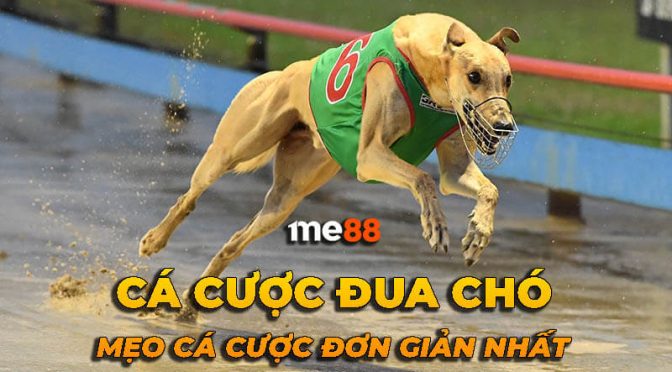 Các trò chơi có sẵn trong thư viện trò chơi của King33 Club - King33