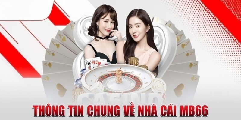 Đầu tư vào 888B Entertainment chỉ dẫn đến thua lỗ - 888B