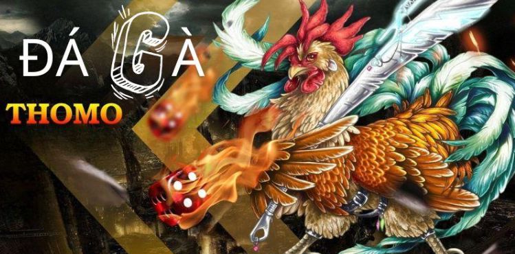 Hệ thống giao dịch Sbty hiện đại - Sbty