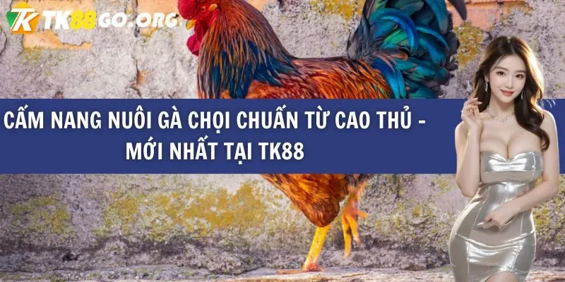 Bài đánh giá chi tiết về Ae888, một công ty game đáng tin cậy - Ae888