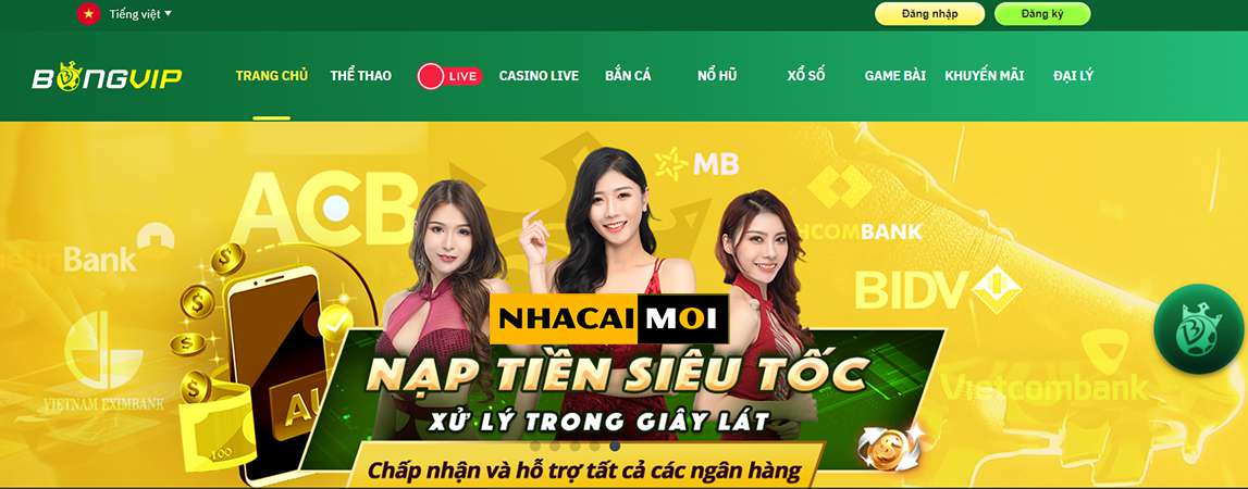 Tổng quan về các hoạt động quảng bá 126Bet - 126Bet