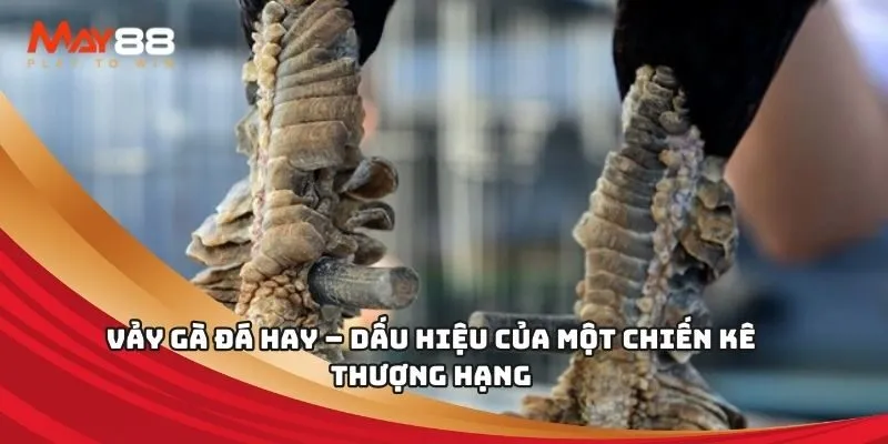 Cả tiền gửi và tiền rút đều đáp ứng tiêu chuẩn xếp hạng Soco88 - Soco88