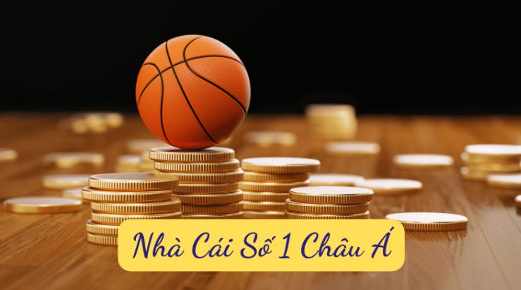 Cửa hàng được xếp hạng V7bet tốt nhất - V7bet