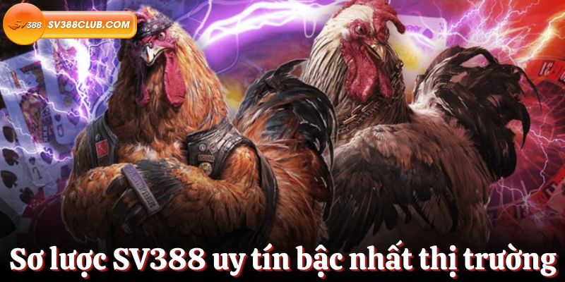 Trận đấu cấp độ Bk8 của Pakistan - Bk8