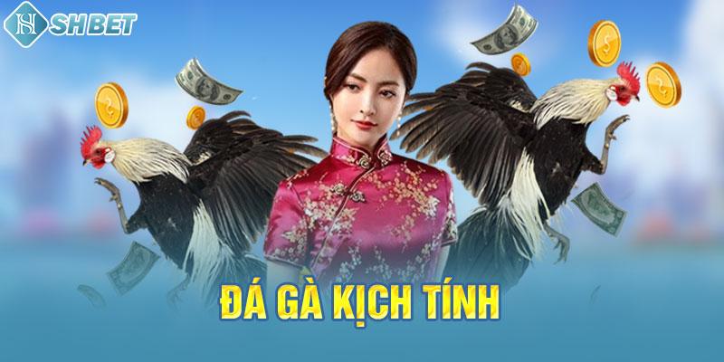 Ev88 gửi 20, nhận 100, rút tiền không giới hạn, giao dịch cuối cùng - Ev88